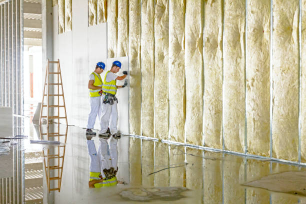 Professional Insulation Contractor in East Gaffney, SC